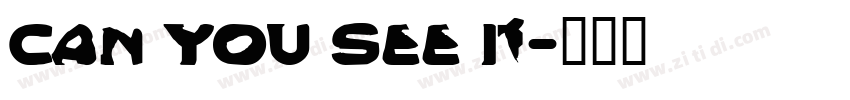 Can you see it字体转换